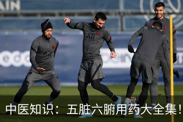 中医知识：五脏六腑用药大全集！！！