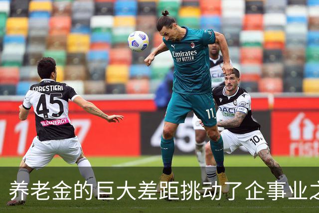 养老金的巨大差距挑动了企事业之间、干部群众之间的对立和鸿沟