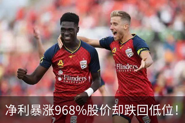 净利暴涨968%股价却跌回低位！天赐材料真是A股最大冤案吗？