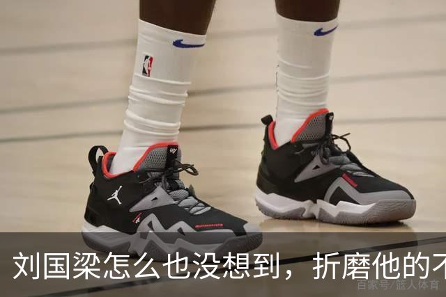 刘国梁怎么也没想到，折磨他的不是举报信，而是冷冰冰的WTTC报告