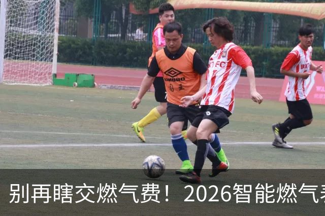 别再瞎交燃气费！2026智能燃气表正确用法，家家户户都能省