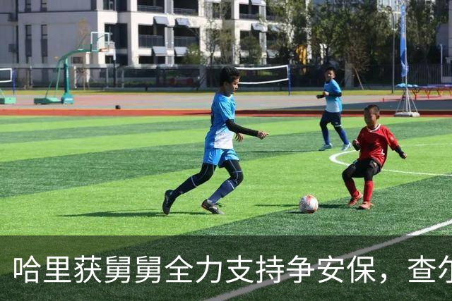 哈里获舅舅全力支持争安保，查尔斯罕见反击，斯宾塞中立装不下去