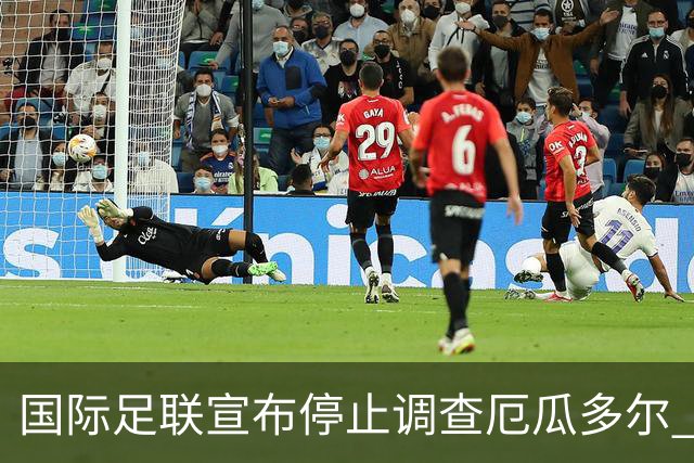 国际足联宣布停止调查厄瓜多尔 且不做任何处罚