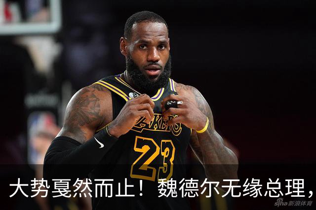 大势戛然而止！魏德尔无缘总理，选择党孤立无援，德政坛迎大变局
