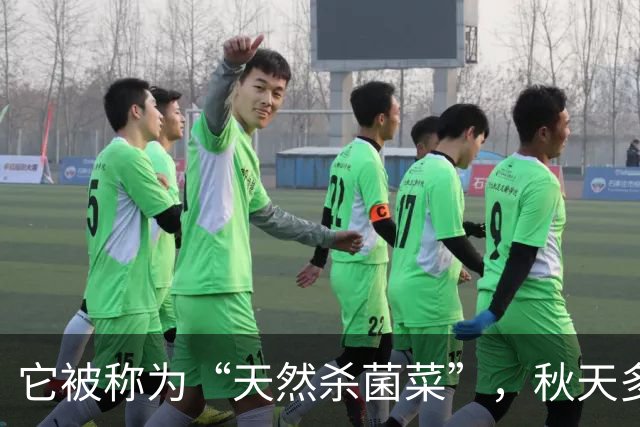它被称为“天然杀菌菜”，秋天多吃，一预防感冒 ，二健脾开胃促消化