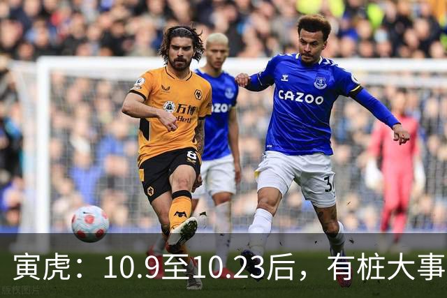 寅虎：10.9至10.23后，有桩大事落你头上，并非上天刁难你
