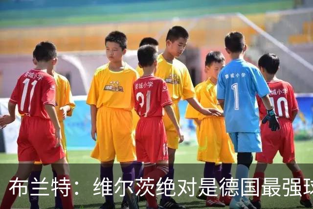 布兰特：维尔茨绝对是德国最强球员，他不属于英超模板但能够立足