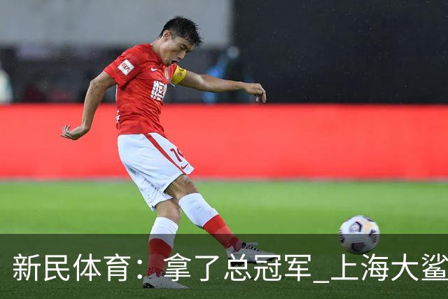 新民体育：拿了总冠军 上海大鲨鱼头脑没昏