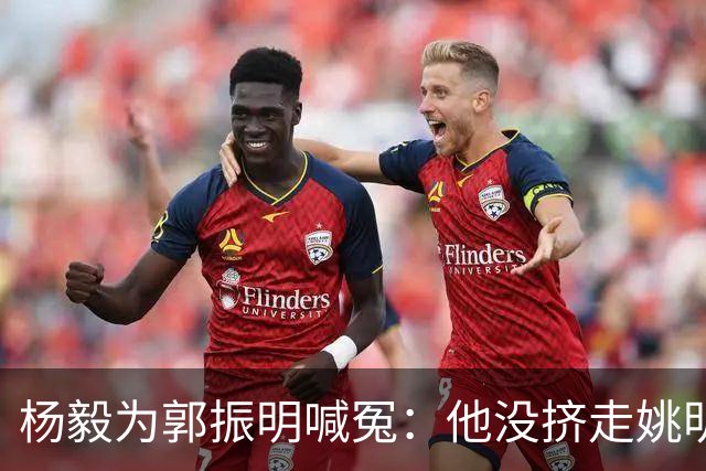 杨毅为郭振明喊冤：他没挤走姚明，也没犯政治错误，但这口锅他背定了