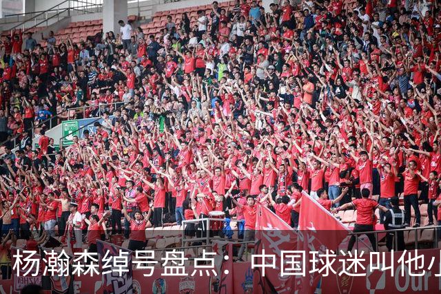 杨瀚森绰号盘点：中国球迷叫他小约基奇，美国球迷叫他“大关税”