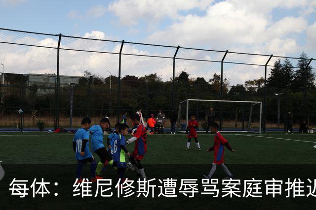 每体：维尼修斯遭辱骂案庭审推迟至2027年春