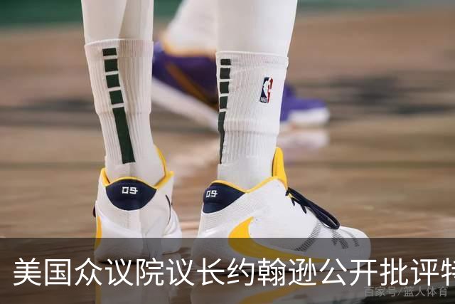 美国众议院议长约翰逊公开批评特朗普亲俄