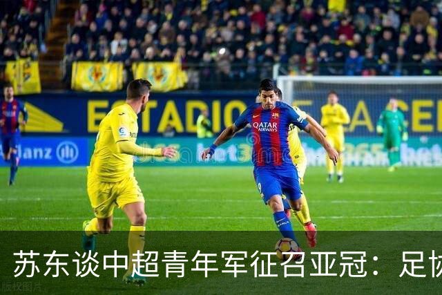 苏东谈中超青年军征召亚冠：足协在亚足联没朋友了