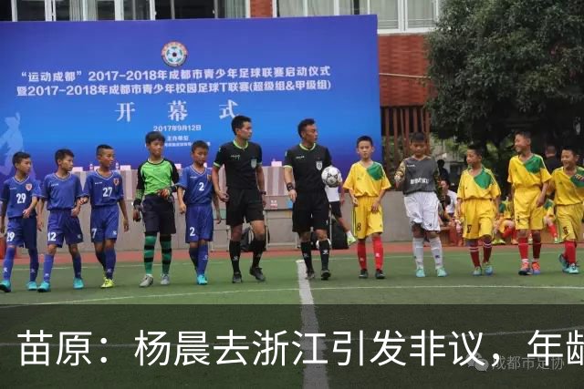 苗原：杨晨去浙江引发非议，年龄和工作经历不符合条件