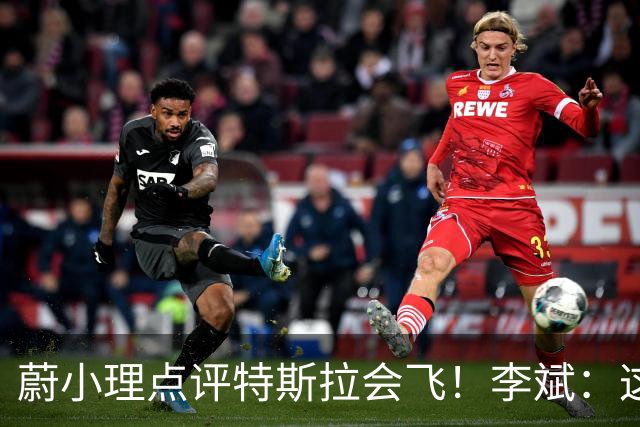 蔚小理点评特斯拉会飞！李斌：这个我们真没有 理想高管：面目全非