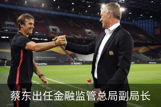 蔡东出任金融监管总局副局长