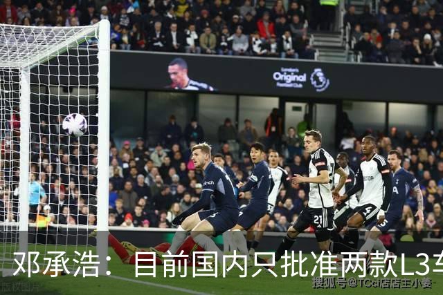邓承浩：目前国内只批准两款L3车型 其它企业讲L3级是在打擦边球
