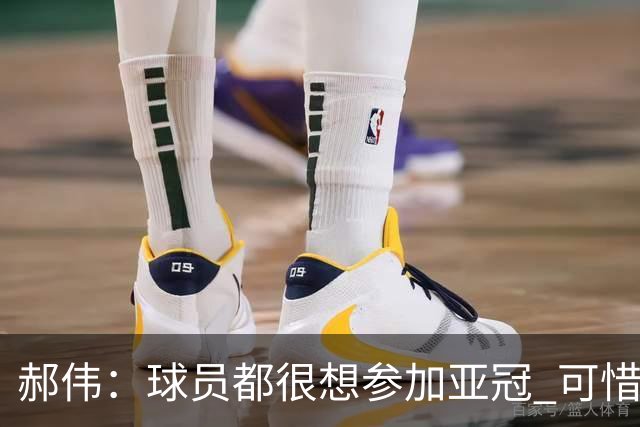 郝伟：球员都很想参加亚冠 可惜赛程跟联赛冲突