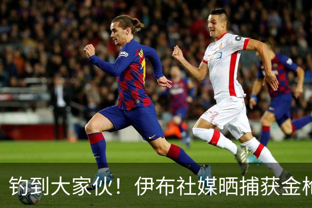 钓到大家伙！伊布社媒晒捕获金枪鱼照片：捕获然后放生