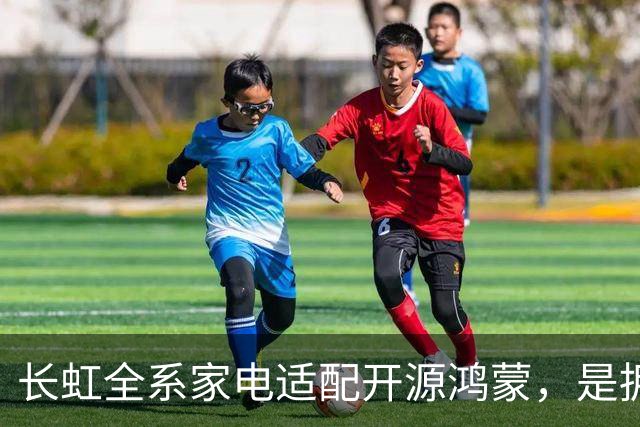 长虹全系家电适配开源鸿蒙，是拥抱生态更是求生