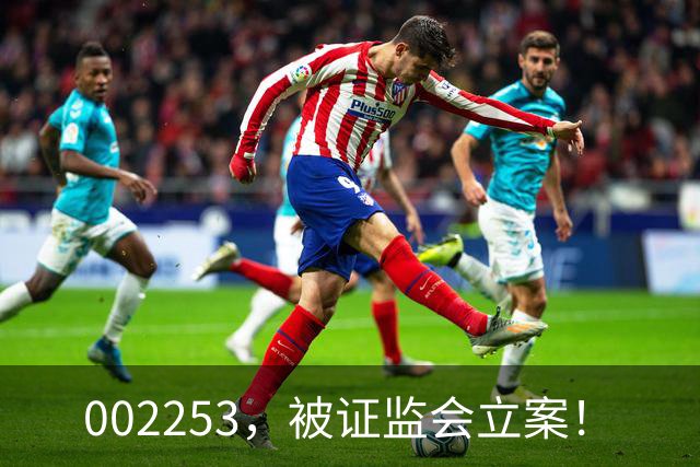 002253，被证监会立案！